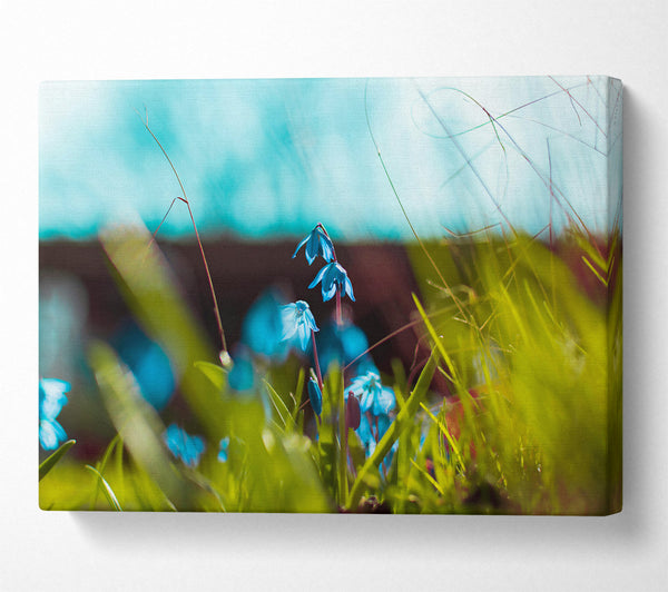  A Canvas Print of Azure Spring Bloom Canvas Wall Art