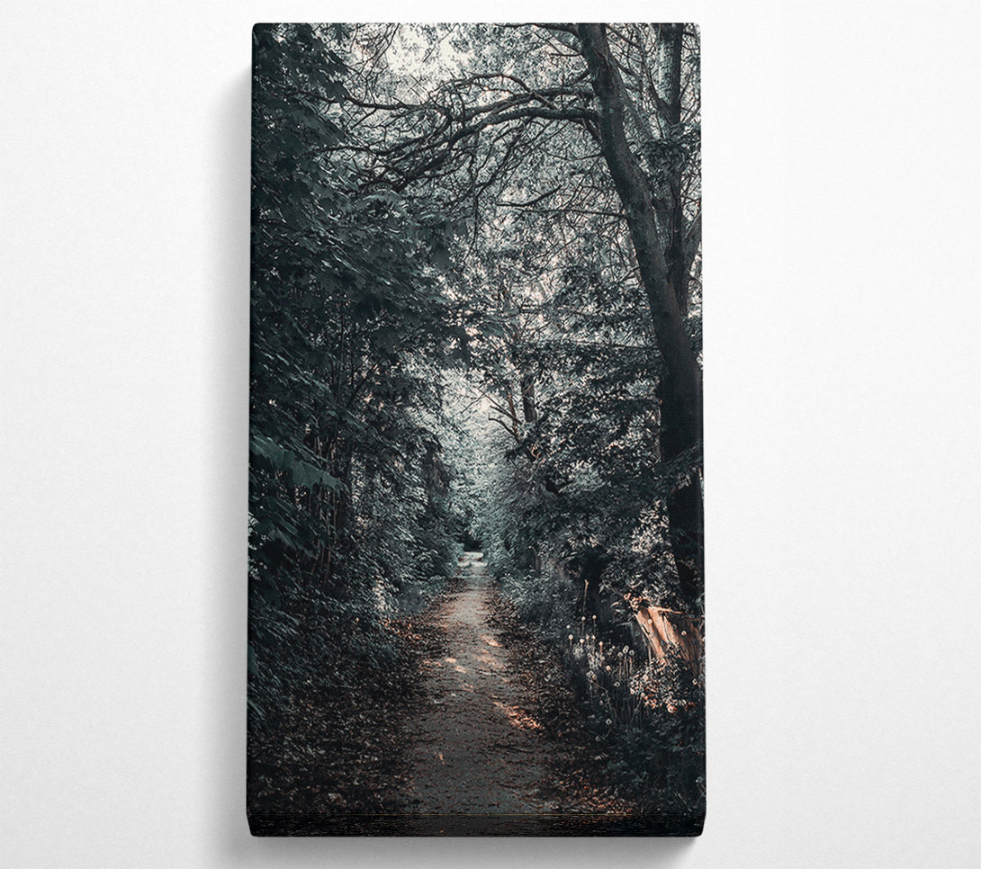  A Canvas Print of Golden Path Through Green Canvas Wall Art