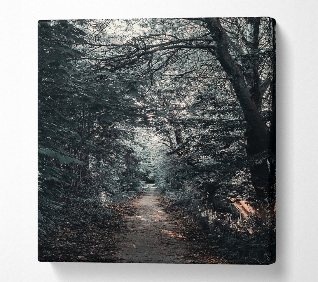  A Canvas Print of Golden Path Through Green Canvas Wall Art