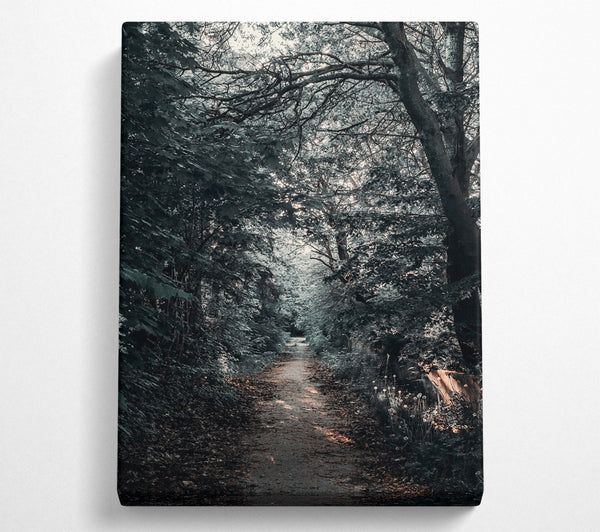  A Canvas Print of Golden Path Through Green Canvas Wall Art