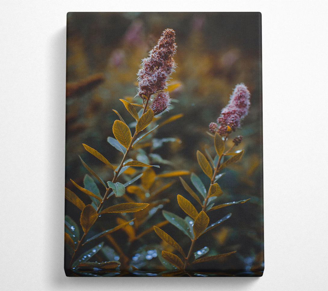  A Canvas Print of Golden Dewy Blooms Canvas Wall Art