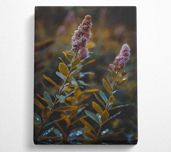  A Canvas Print of Golden Dewy Blooms Canvas Wall Art