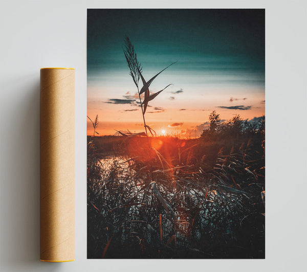 Orange Sunset Reeds Giclee Print