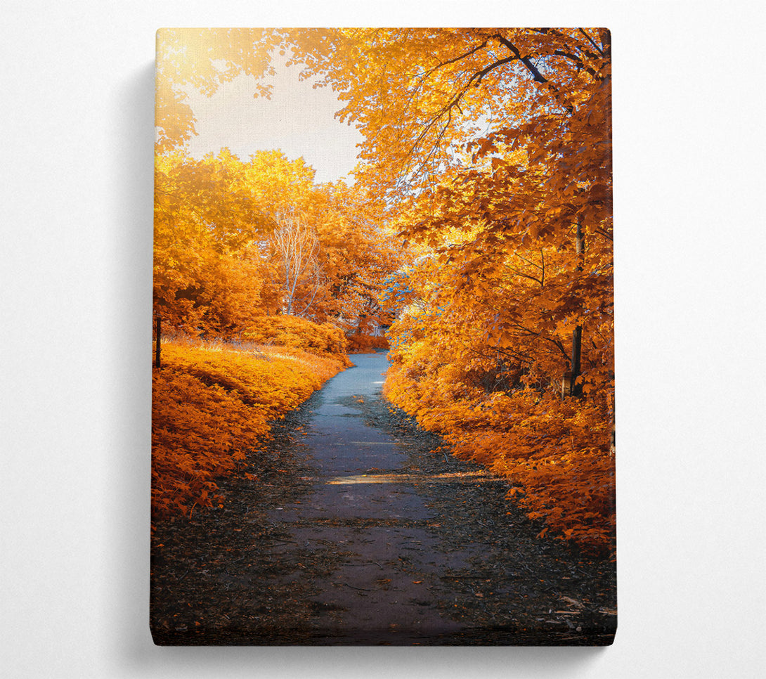  A Canvas Print of Golden Autumn Path Canvas Print
