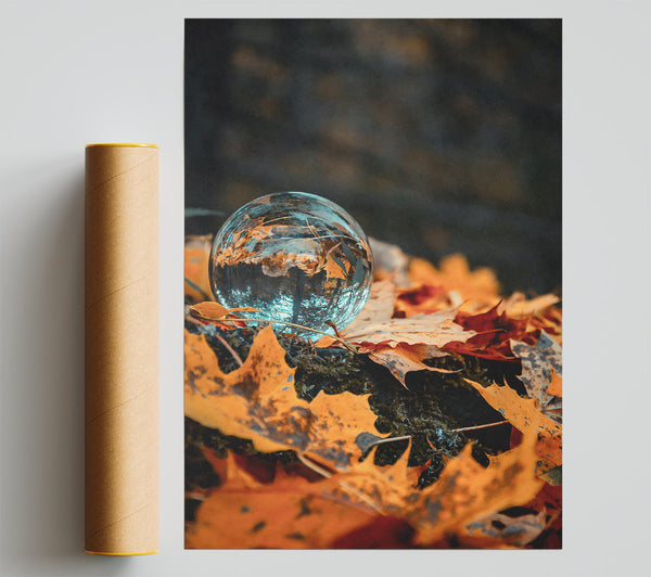 Autumn'S Blue Reflection Print