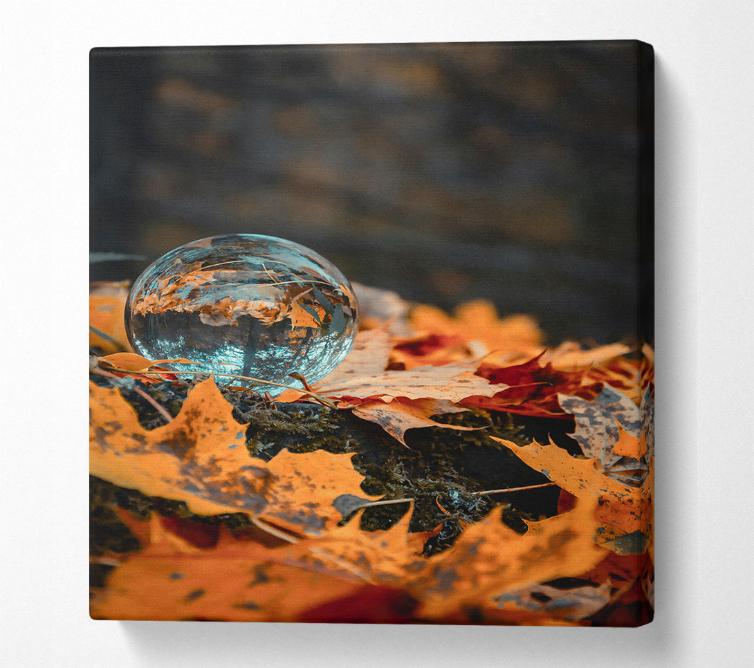  A Canvas Print of Autumn'S Blue Reflection Canvas Print
