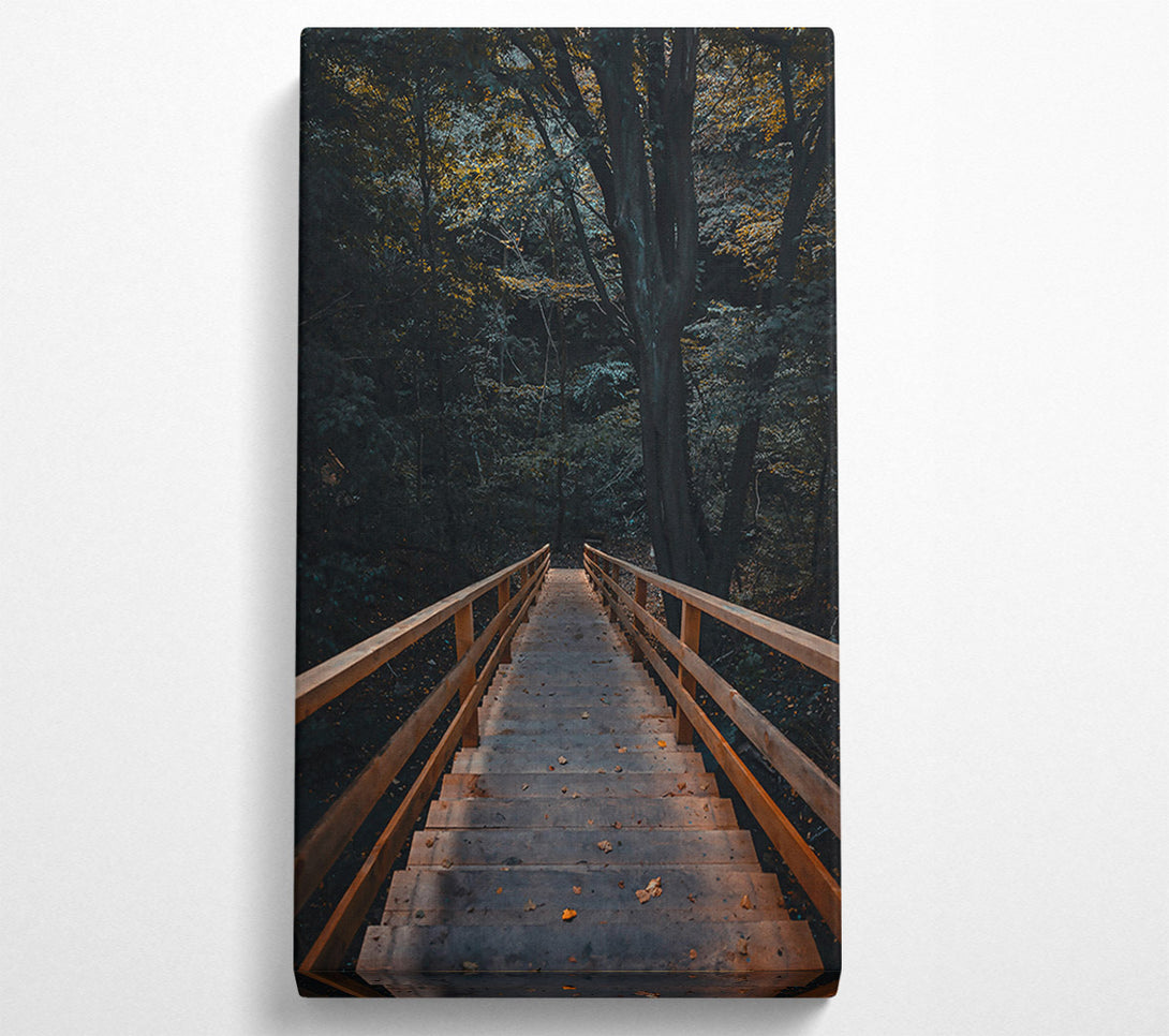  A Canvas Print of Brown Steps Through Woods Canvas Wall Art