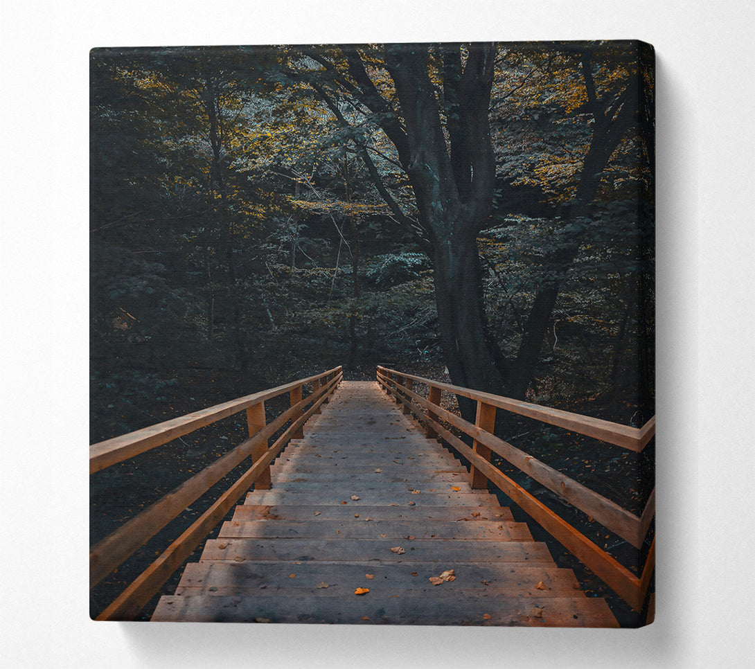  A Canvas Print of Brown Steps Through Woods Canvas Wall Art