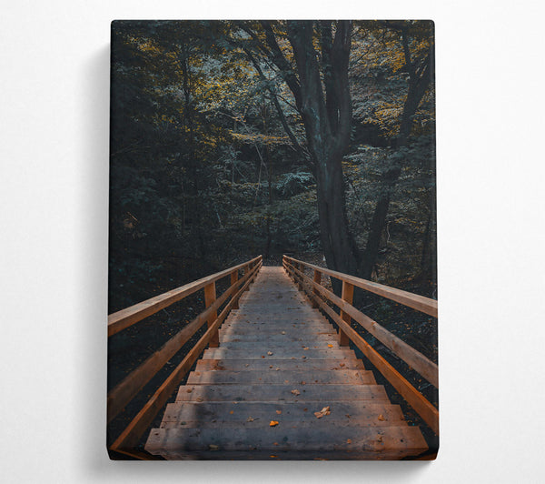  A Canvas Print of Brown Steps Through Woods Canvas Wall Art