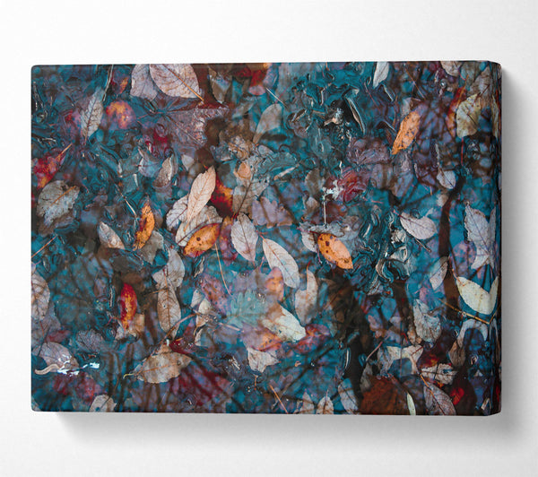 A Canvas Print of Teal Autumn Leaves Canvas Art