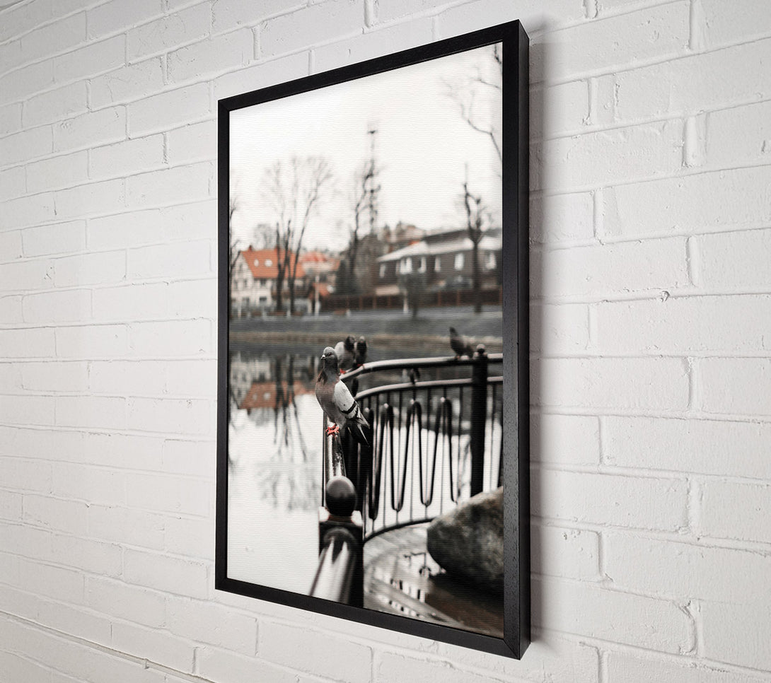  A Canvas Print of Grey Dove On Railing Canvas Wall Art