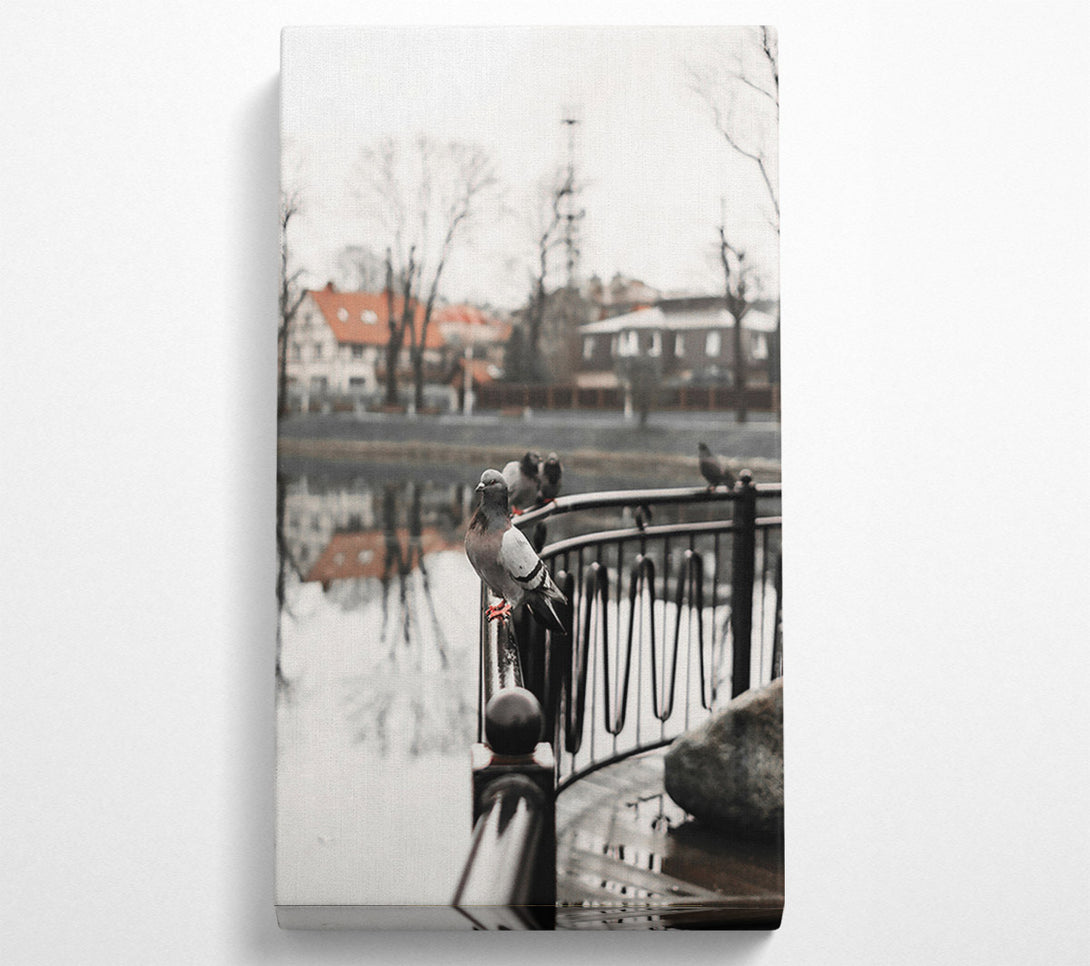  A Canvas Print of Grey Dove On Railing Canvas Wall Art
