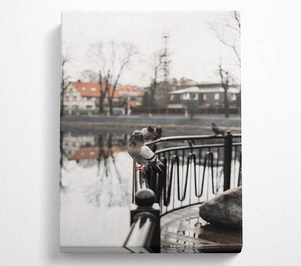  A Canvas Print of Grey Dove On Railing Canvas Wall Art