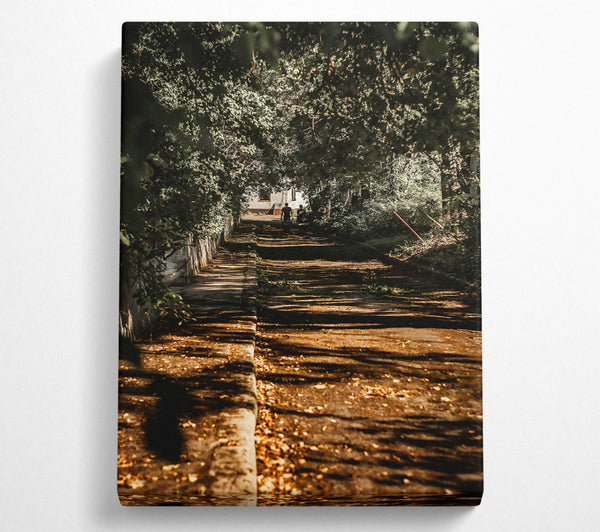  A Canvas Print of Golden Path Through Trees Canvas Print