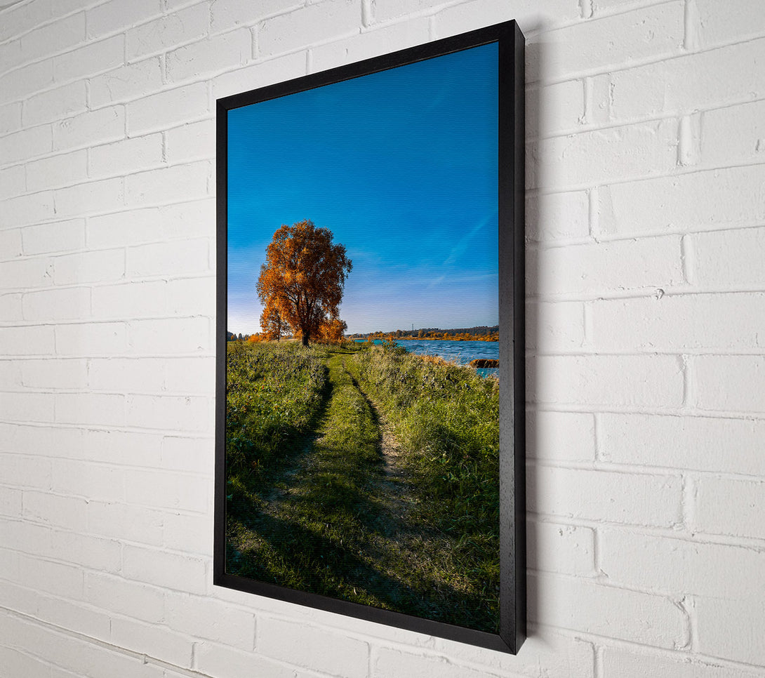  A Canvas Print of Golden Path To Water Canvas Wall Art