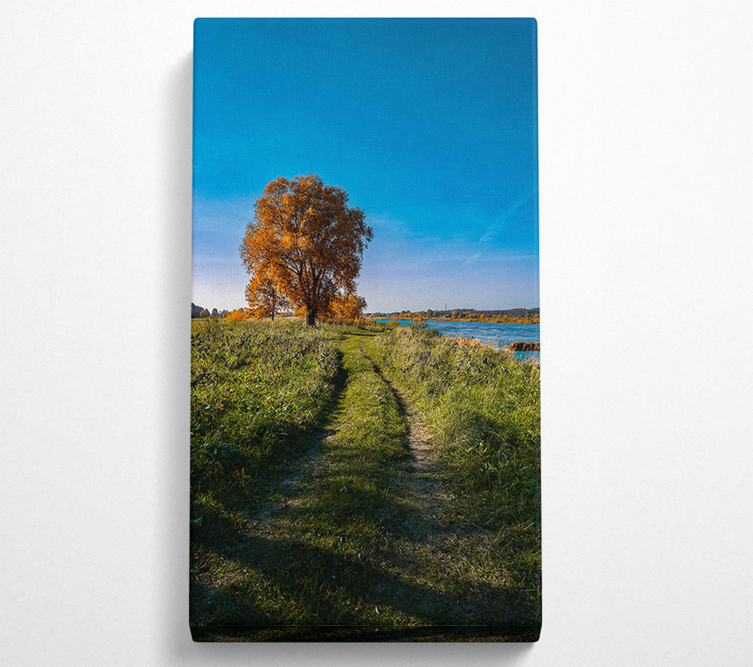 A Canvas Print of Golden Path To Water Canvas Wall Art