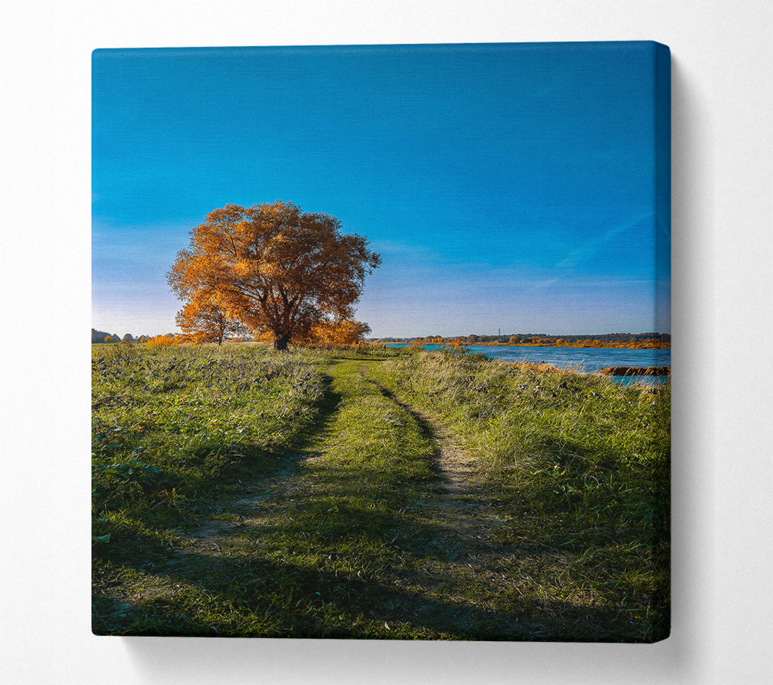  A Canvas Print of Golden Path To Water Canvas Wall Art