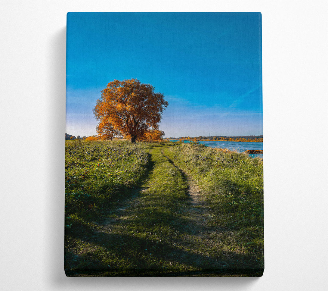  A Canvas Print of Golden Path To Water Canvas Wall Art