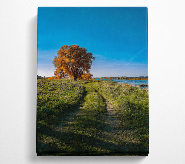  A Canvas Print of Golden Path To Water Canvas Wall Art