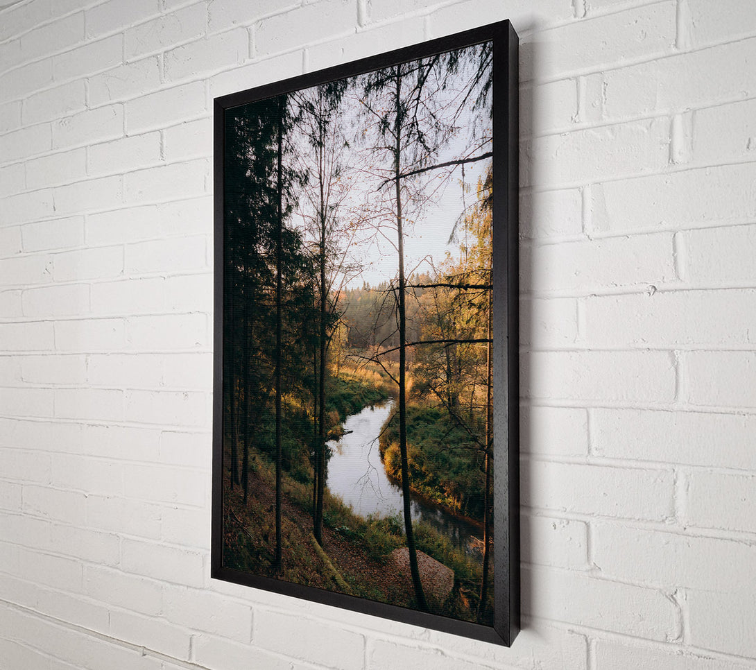  A Canvas Print of Golden River Through Trees Canvas Wall Art