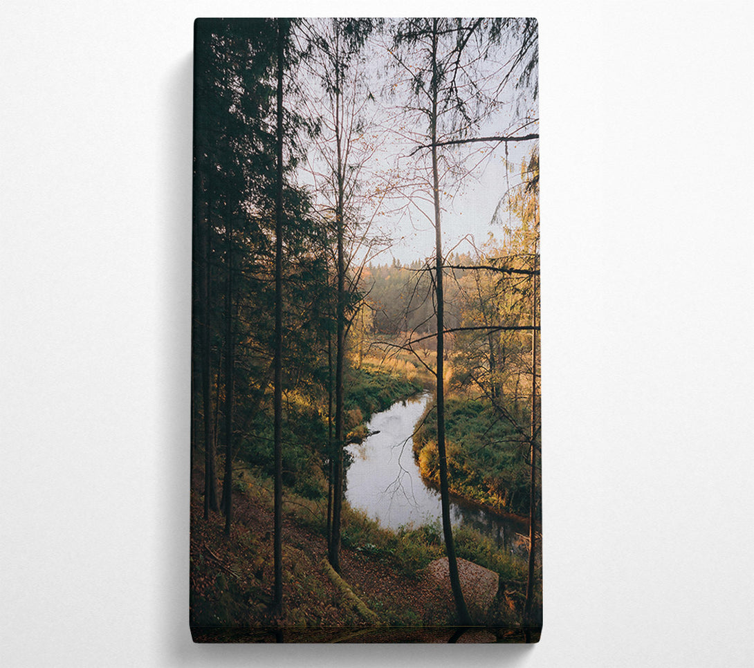  A Canvas Print of Golden River Through Trees Canvas Wall Art
