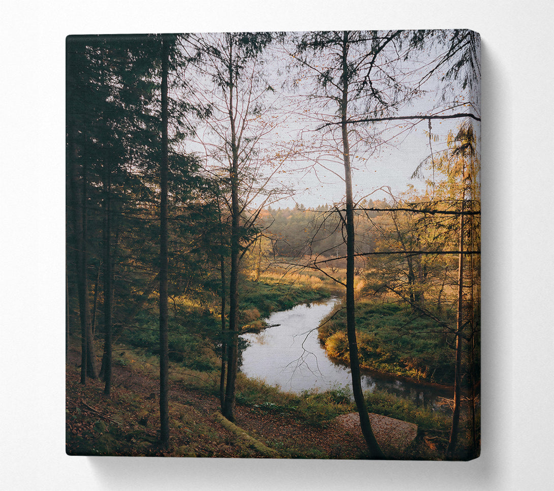  A Canvas Print of Golden River Through Trees Canvas Wall Art