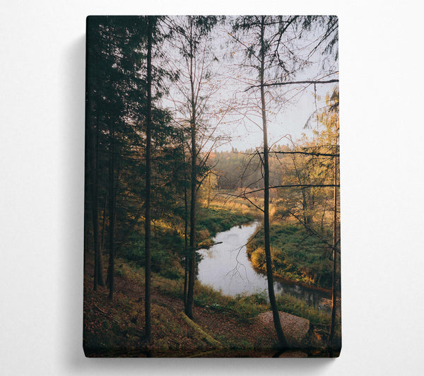  A Canvas Print of Golden River Through Trees Canvas Wall Art