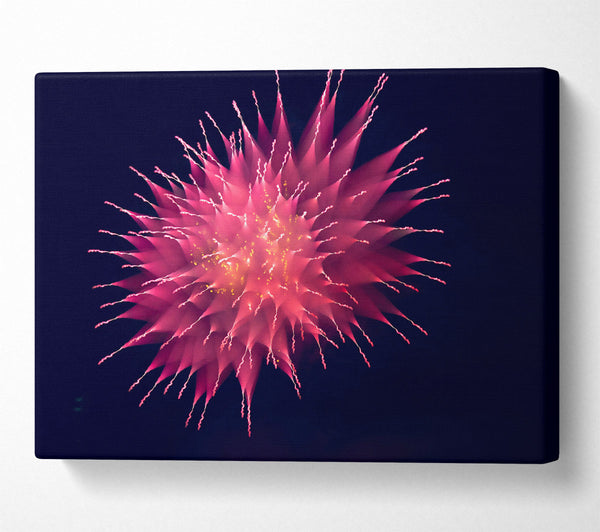  A Canvas Print of Crimson Starburst Symphony Canvas Print