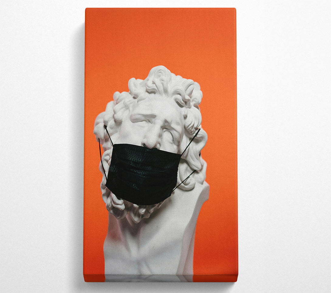  A Canvas Print of Orange Masked Muse Canvas Art