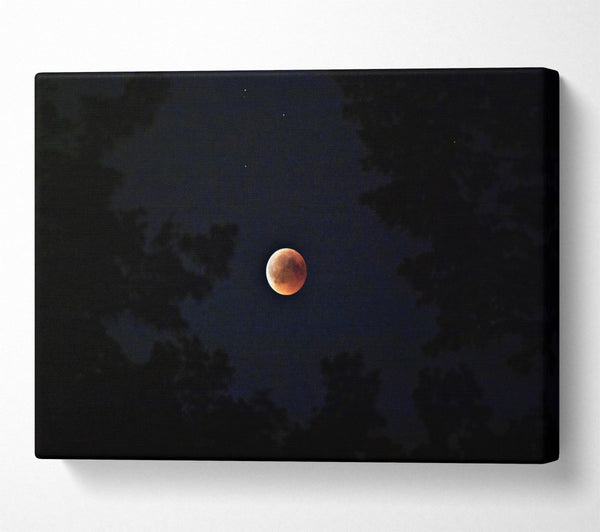  A Canvas Print of Crimson Lunar Eclipse Canvas Wall Art