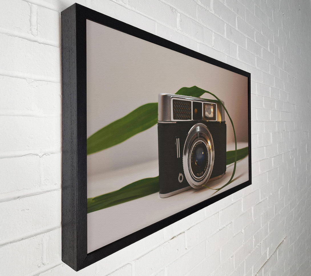  A Canvas Print of Silver Lens And Green Leaf Canvas Wall Art
