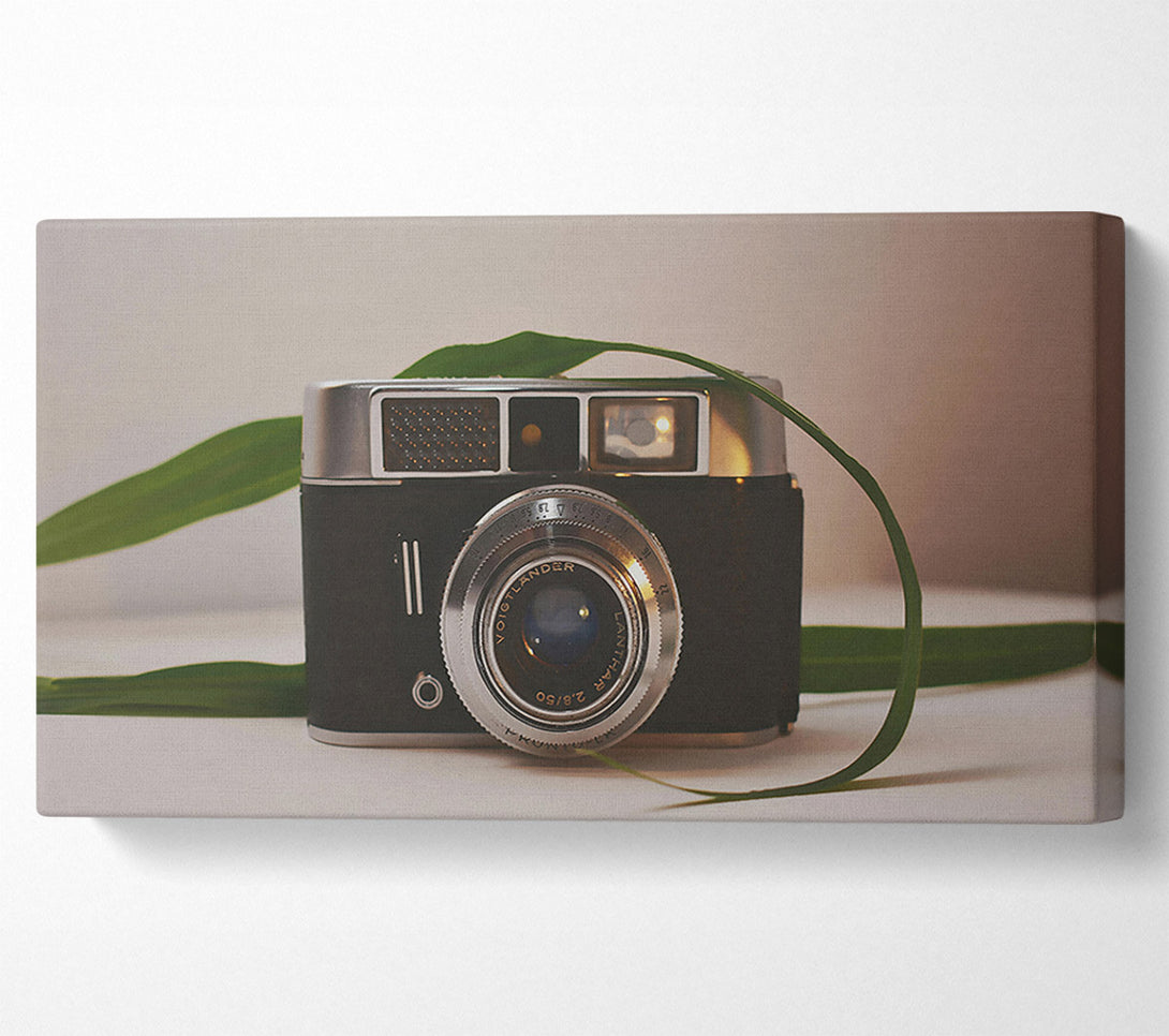 A Canvas Print of Silver Lens And Green Leaf Canvas Wall Art