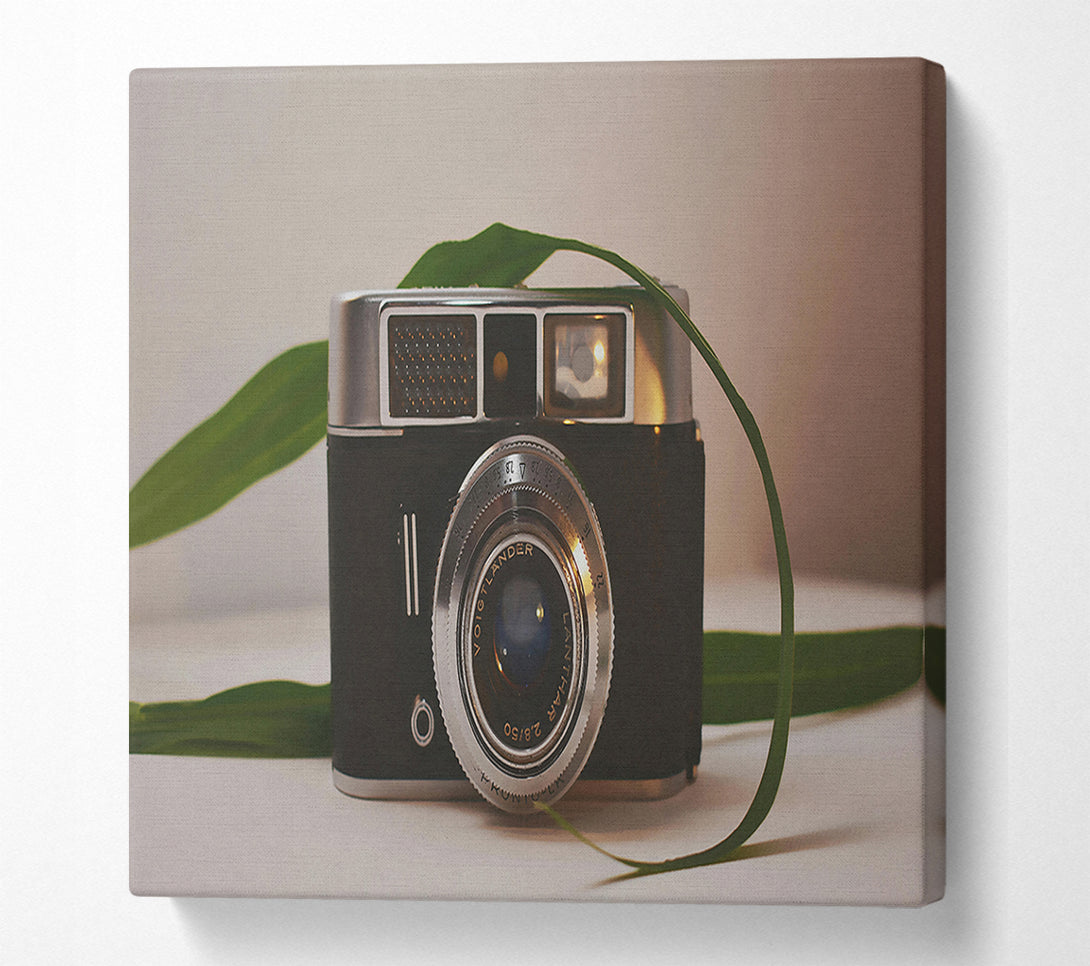  A Canvas Print of Silver Lens And Green Leaf Canvas Wall Art