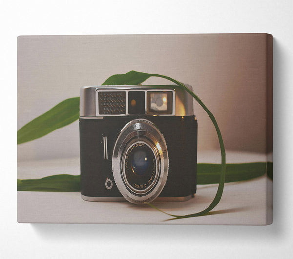  A Canvas Print of Silver Lens And Green Leaf Canvas Wall Art
