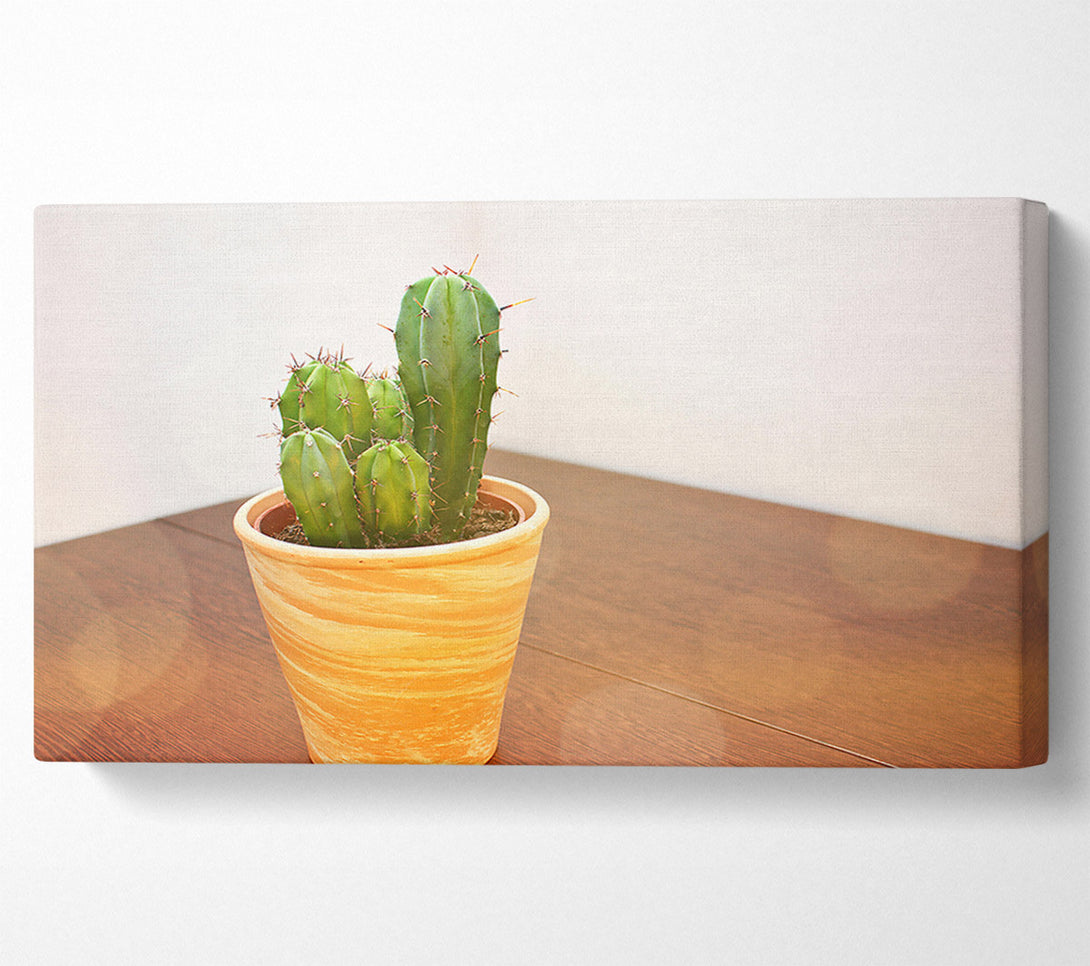  A Canvas Print of Terracotta Cactus Cluster Canvas Wall Art