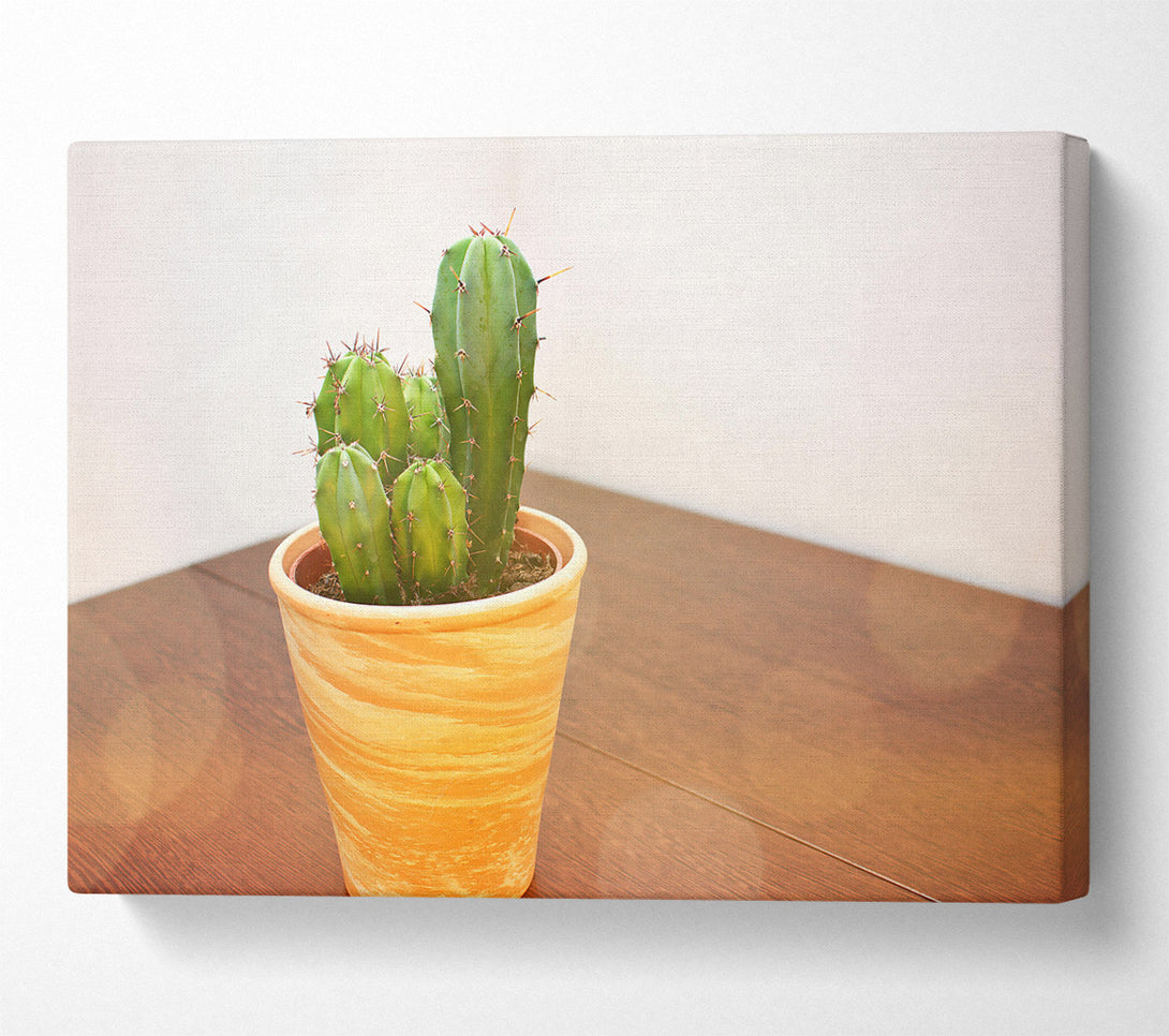 A Canvas Print of Terracotta Cactus Cluster Canvas Wall Art