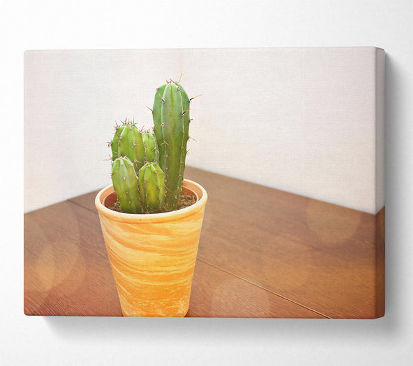  A Canvas Print of Terracotta Cactus Cluster Canvas Wall Art
