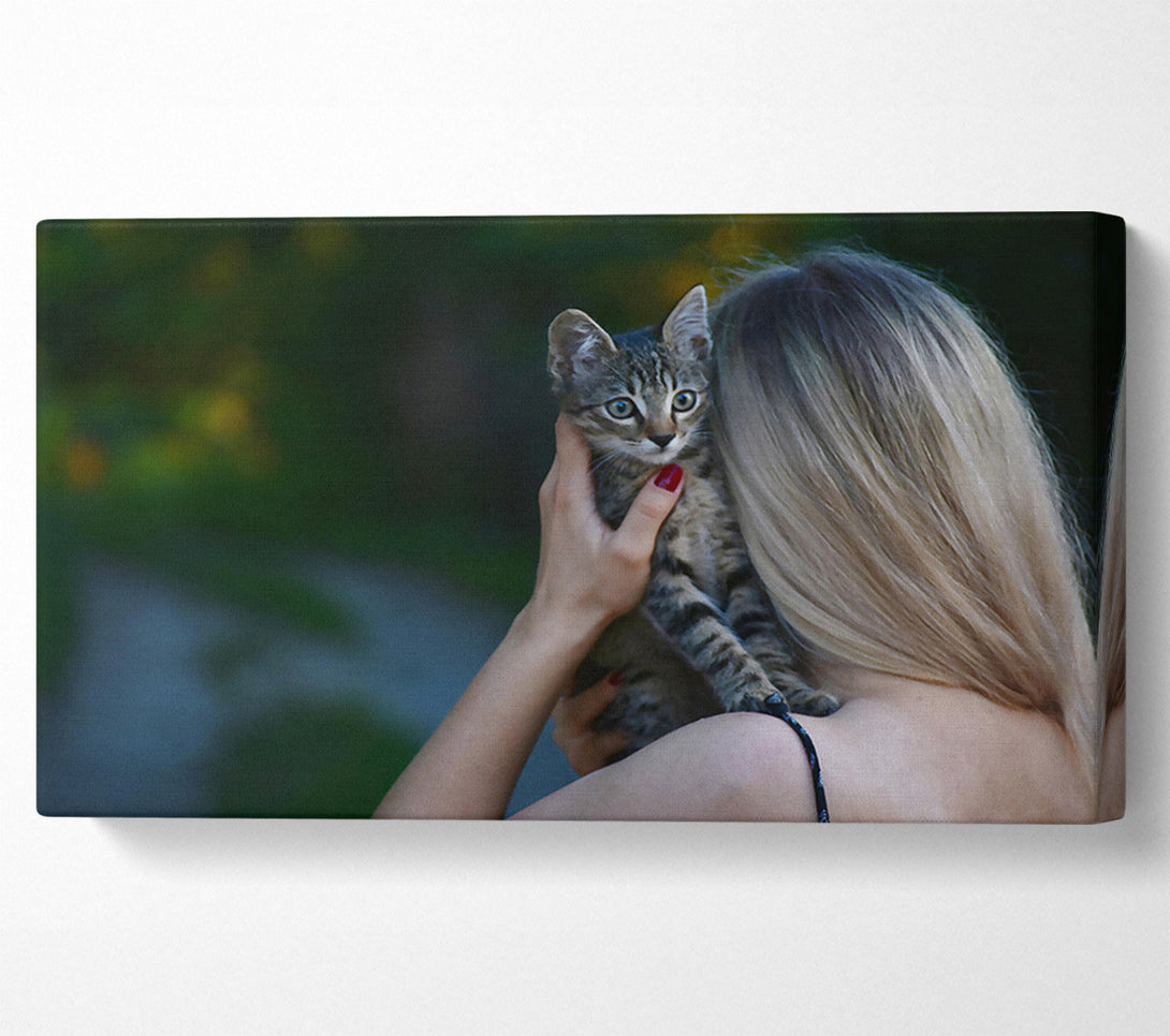  A Canvas Print of Golden Kitty Love Canvas Print