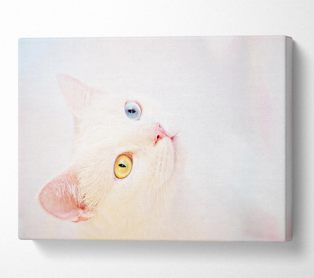  A Canvas Print of Loading... Canvas Print