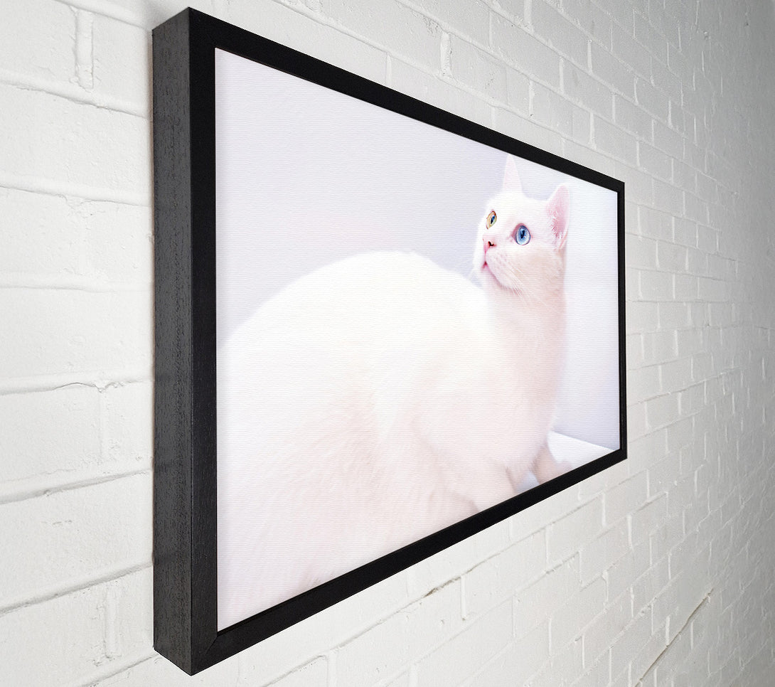  A Canvas Print of White Dreamy Gaze Canvas Print