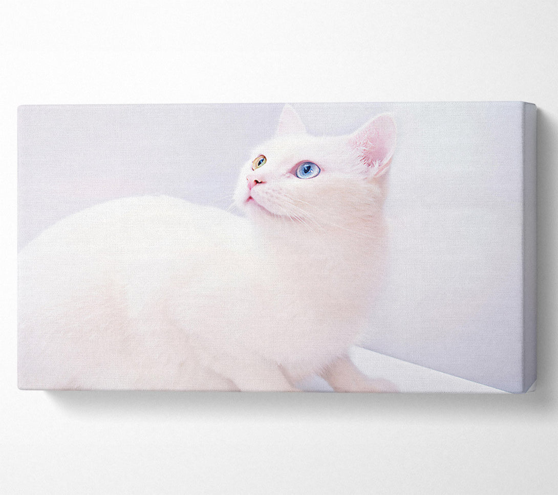  A Canvas Print of White Dreamy Gaze Canvas Print