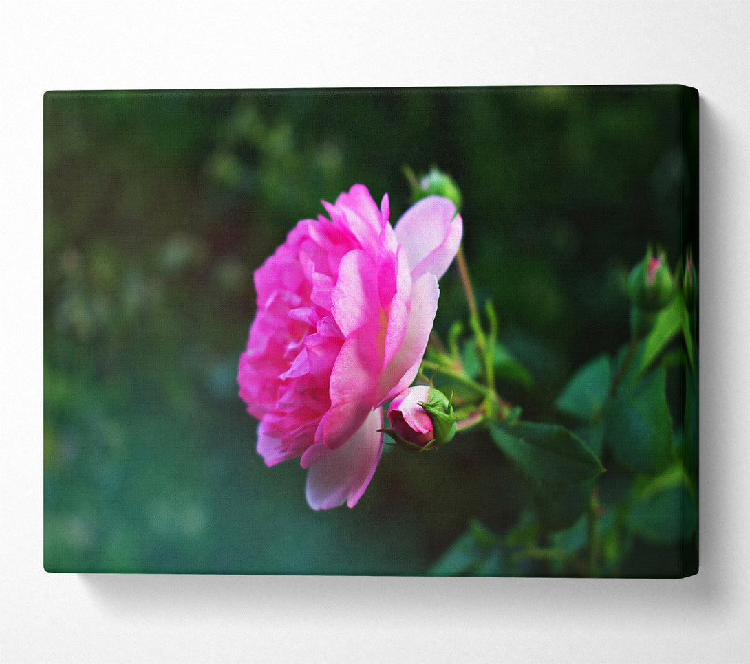  A Canvas Print of Loading... Canvas Print