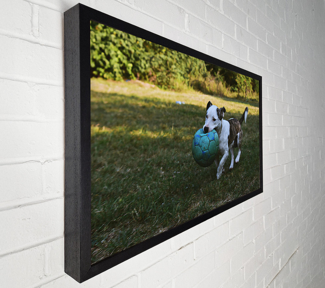  A Canvas Print of Blue Ball Adventure Canvas Wall Art