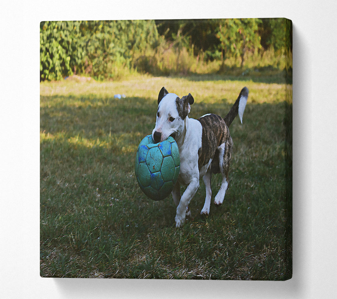  A Canvas Print of Blue Ball Adventure Canvas Wall Art