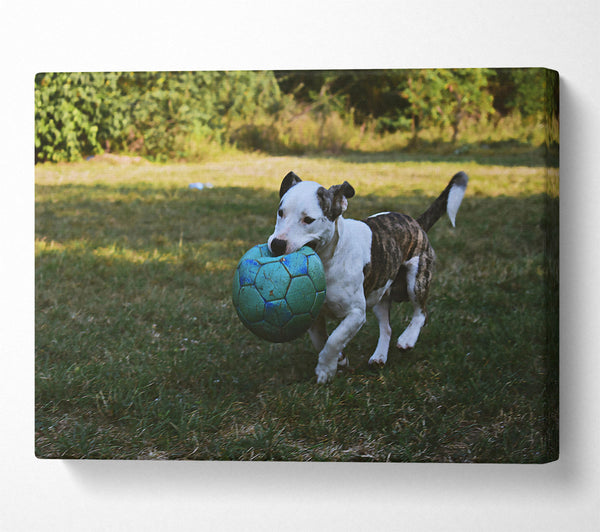 A Canvas Print of Blue Ball Adventure Canvas Wall Art