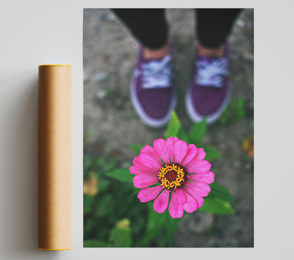 Purple And Pink Bloom Giclee Print