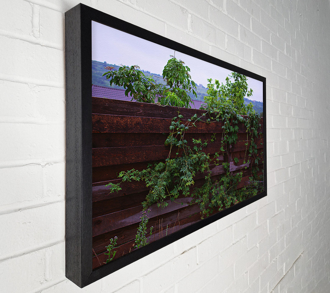 A Canvas Print of Dark Green Vines Canvas Print