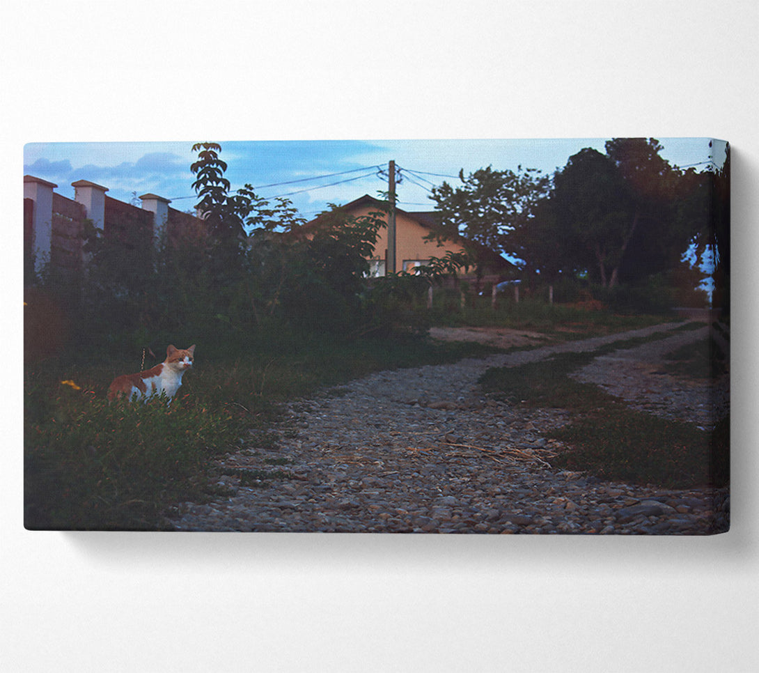  A Canvas Print of Twilight'S Grey Path Canvas Wall Art