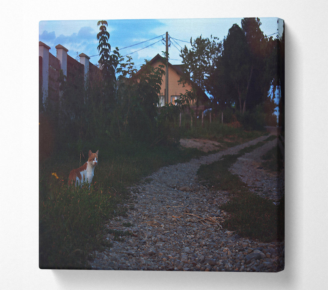  A Canvas Print of Twilight'S Grey Path Canvas Wall Art