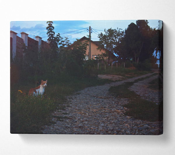  A Canvas Print of Twilight'S Grey Path Canvas Wall Art